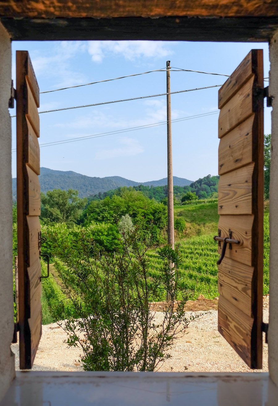 Wooden window shutters open to a rural landscape with vines.