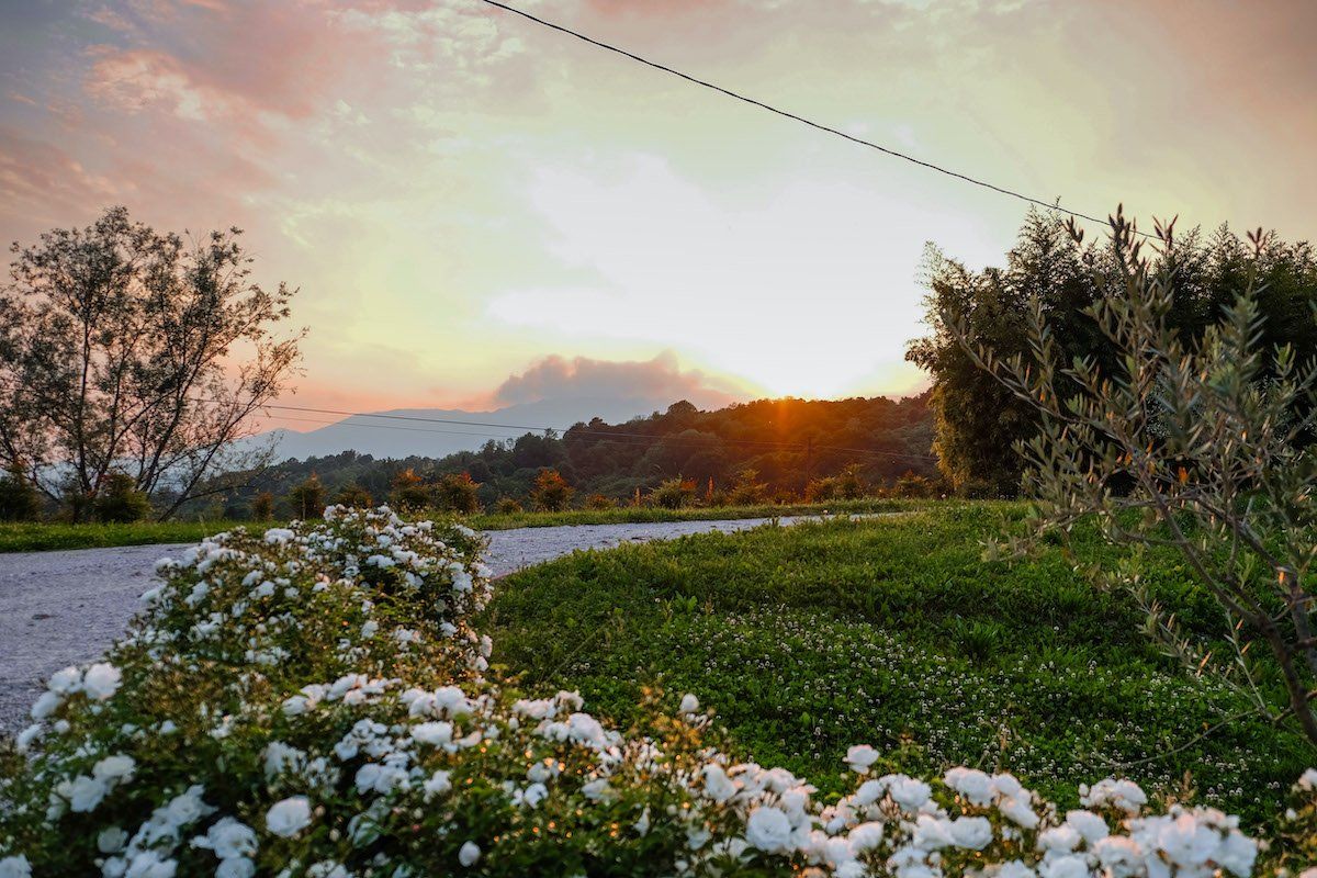 Sunset over vineyards at Tenuta Amadio