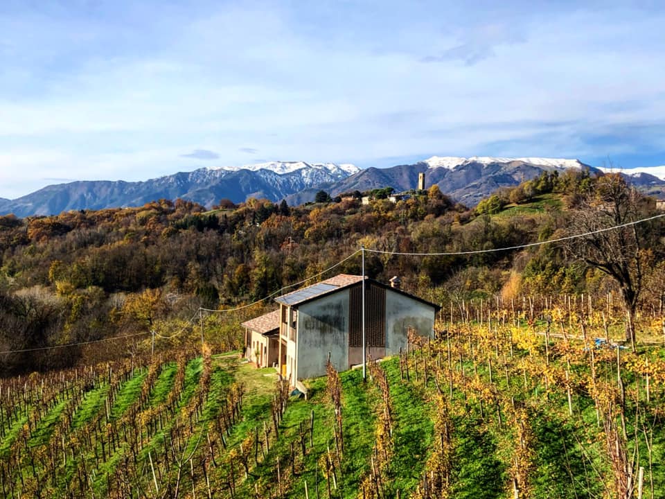 Vineyard and winery building with mountains in the background at Tenuta Amadio