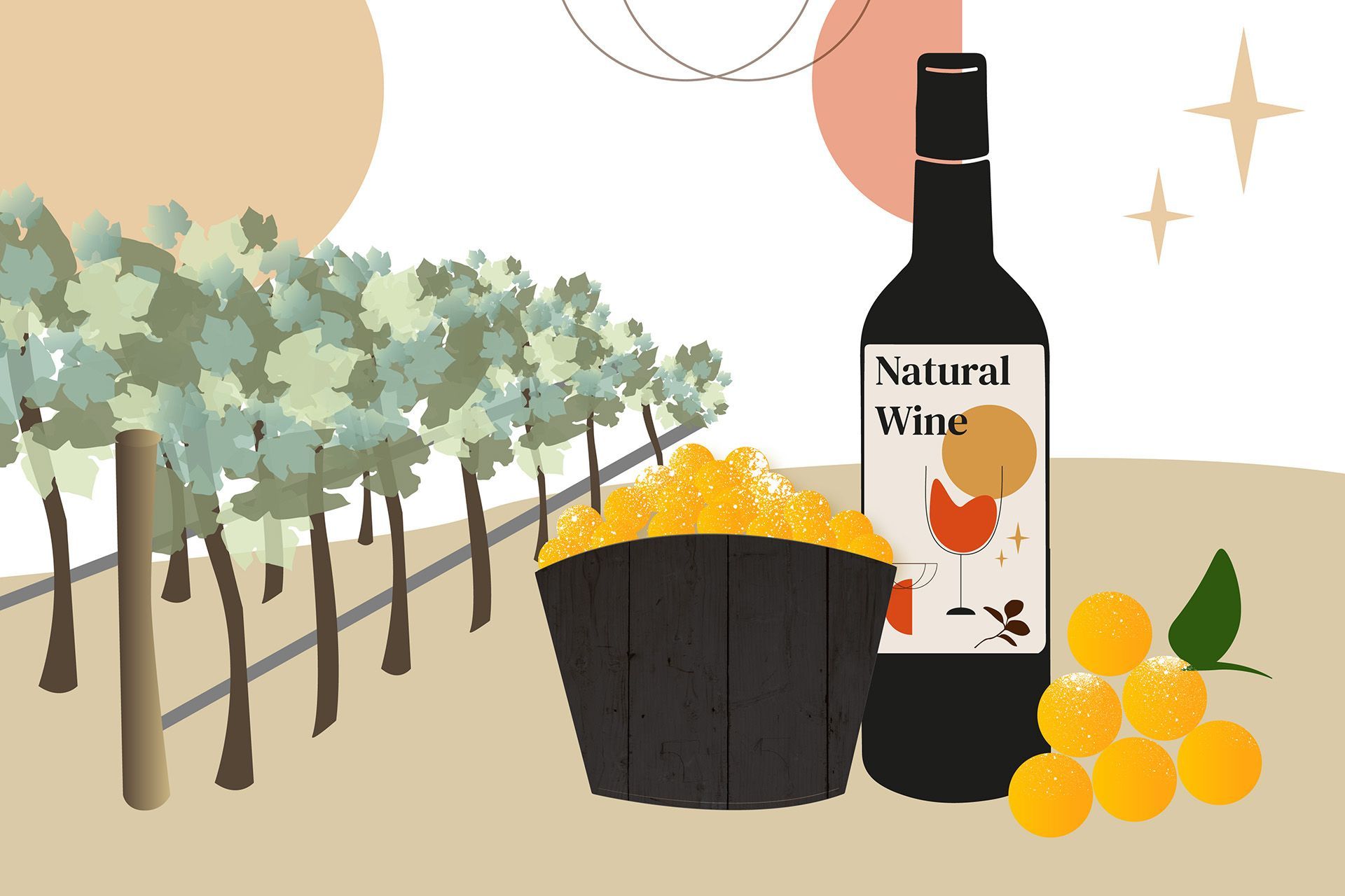 Illustration of a bottle of wines and grapes, in a vineyard.