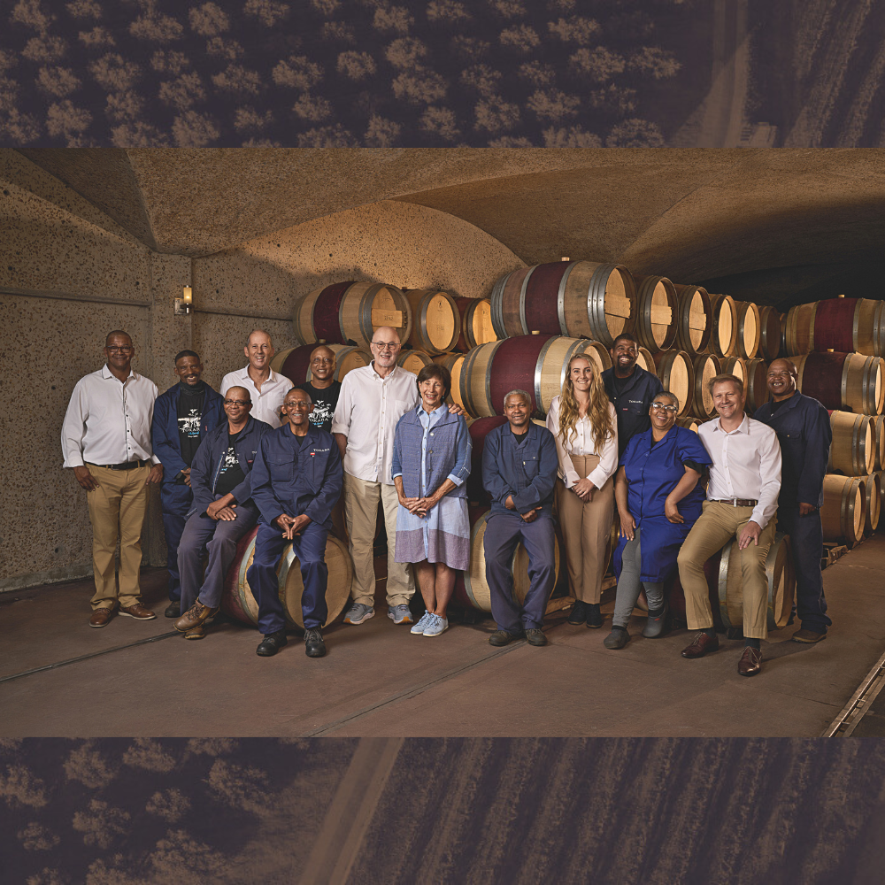 Tokara team in the wine cellar, with wooden barrels.