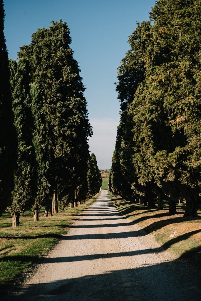 Cypress-lined avenue at Venturini Baldini, reflecting the estate’s historic landscape and sustainable vineyard setting