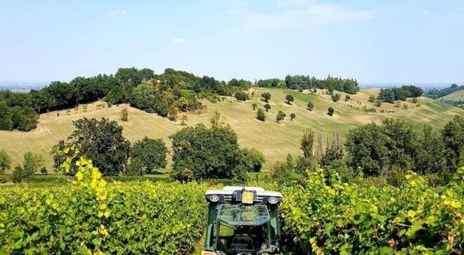 Vineyards at Venturini Baldini set against rolling hills, highlighting sustainable viticulture in Emilia-Romagna.