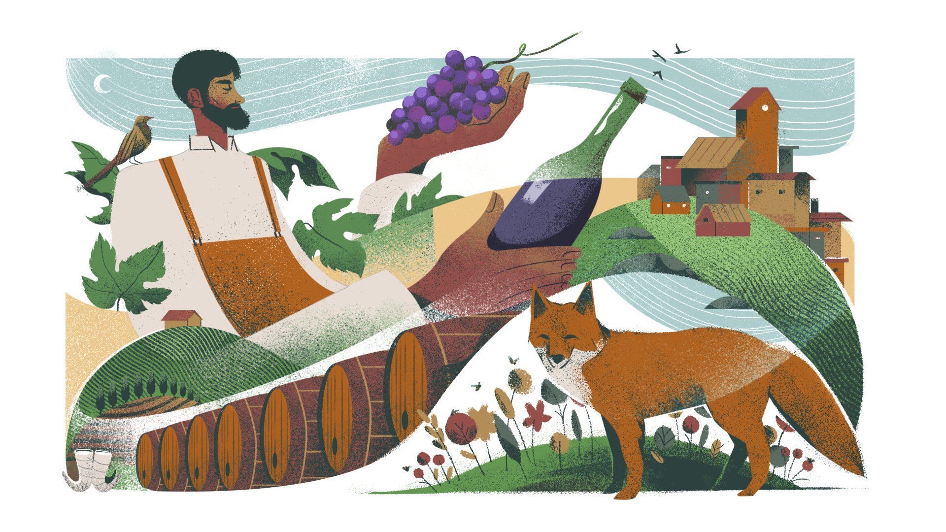 Vino Al Vino natural wine illustration Vino Al Vino natural wine illustration