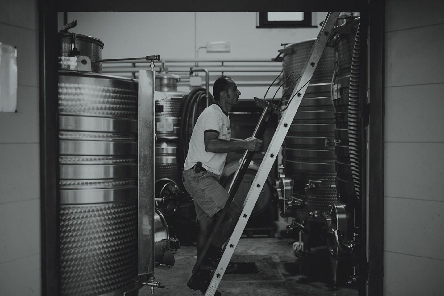 A winemaker at Agri Segretum climbs a ladder between stainless steel tanks inside the winery.