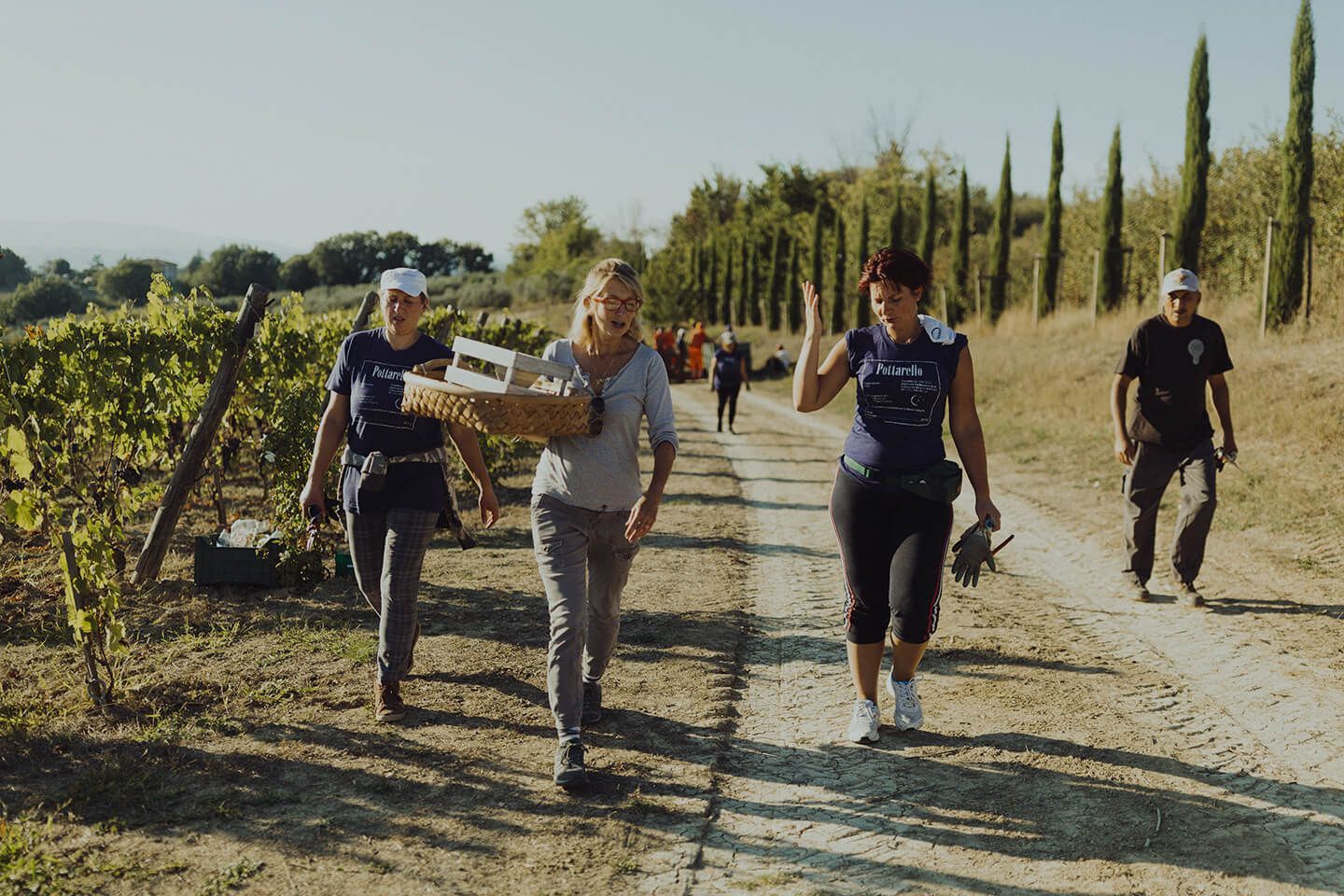 People walking through the vineyards at Agri Segretum during harvest, carrying baskets and tools.