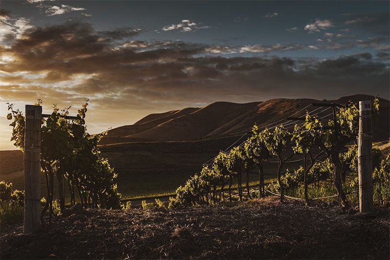 Wines from around the world Wines from around the world