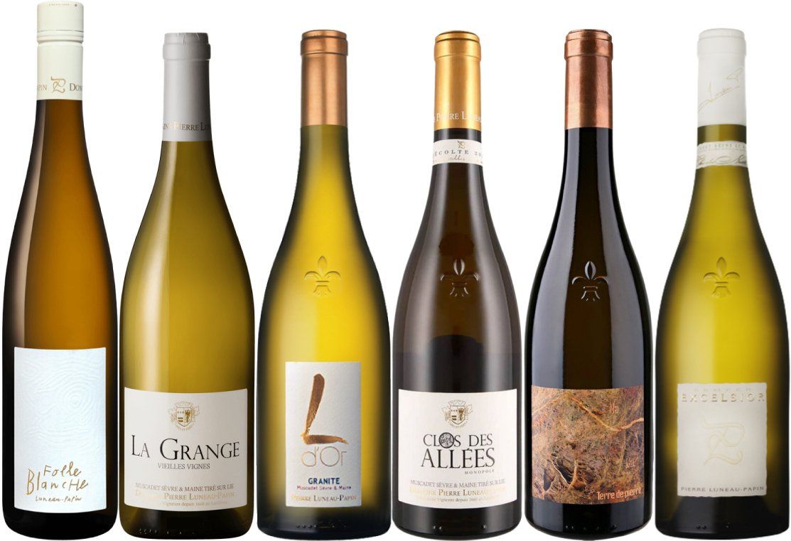 Luneau Papin - Line up of Wines Luneau Papin - Line up of Wines