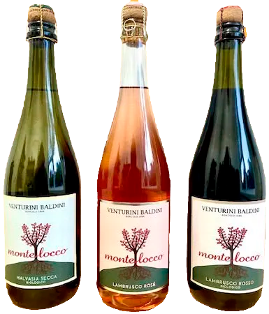 The Montelocco line up