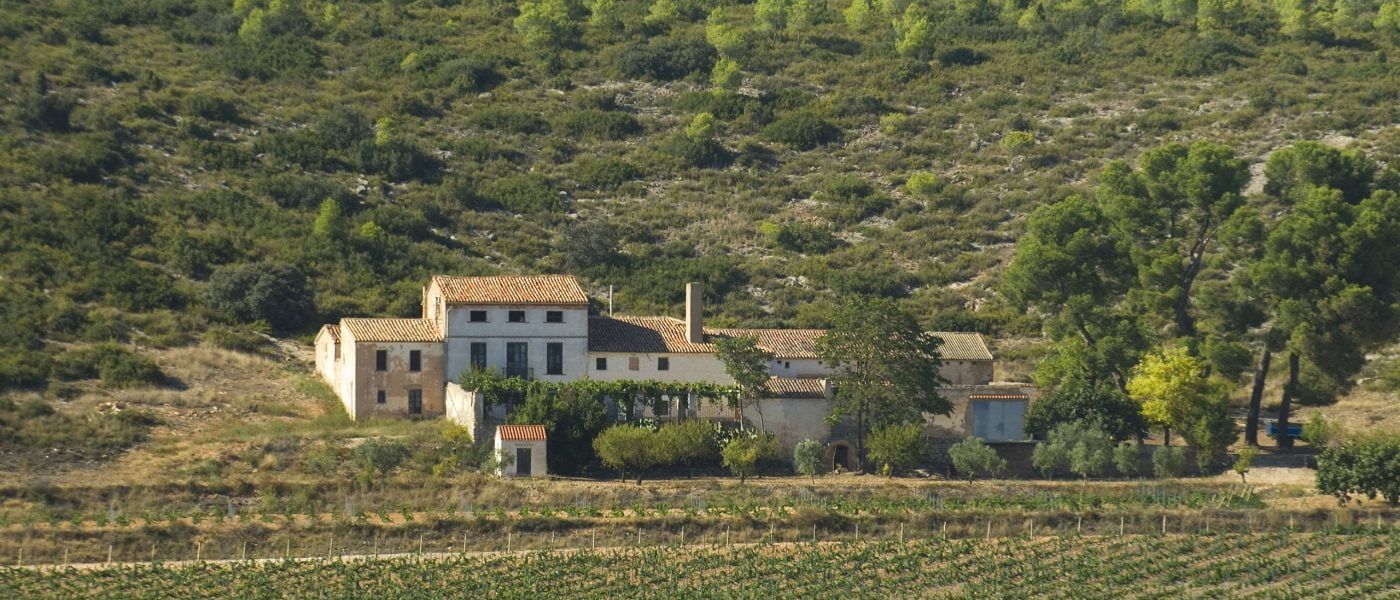 A stone building nestled among trees on a hillside, at Bodegas Enguera