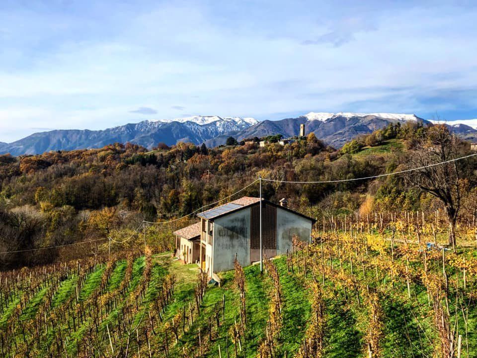 Tenuta Amadio views Tenuta Amadio views