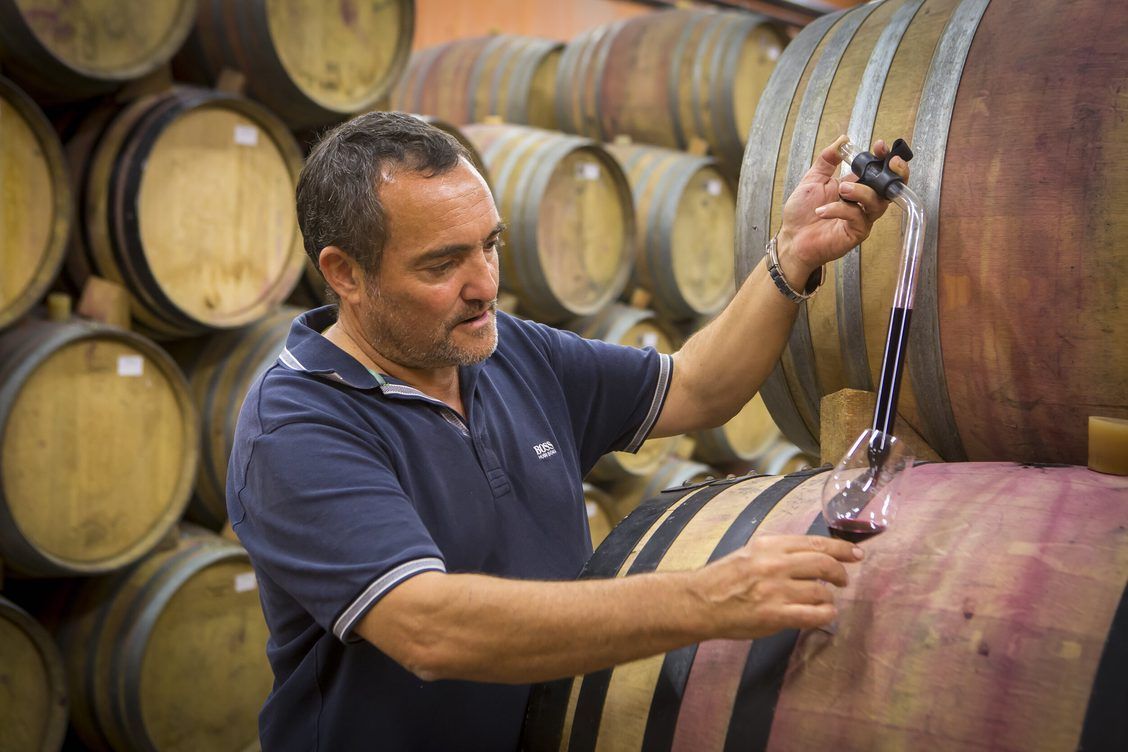 Yannick Burles in the cellar Yannick Burles in the cellar