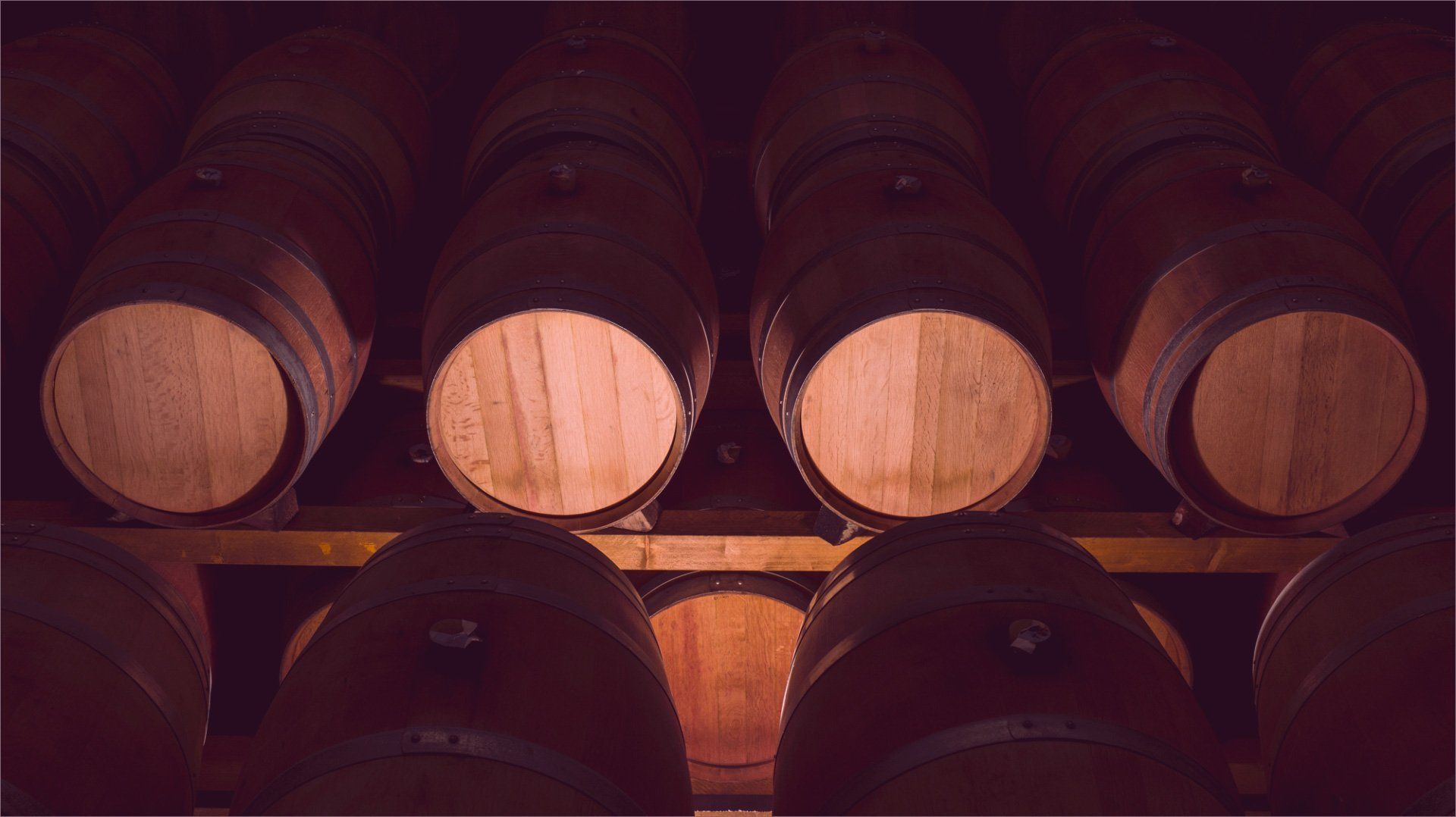Rows of wooden wine barrels in a dimly lit cellar.