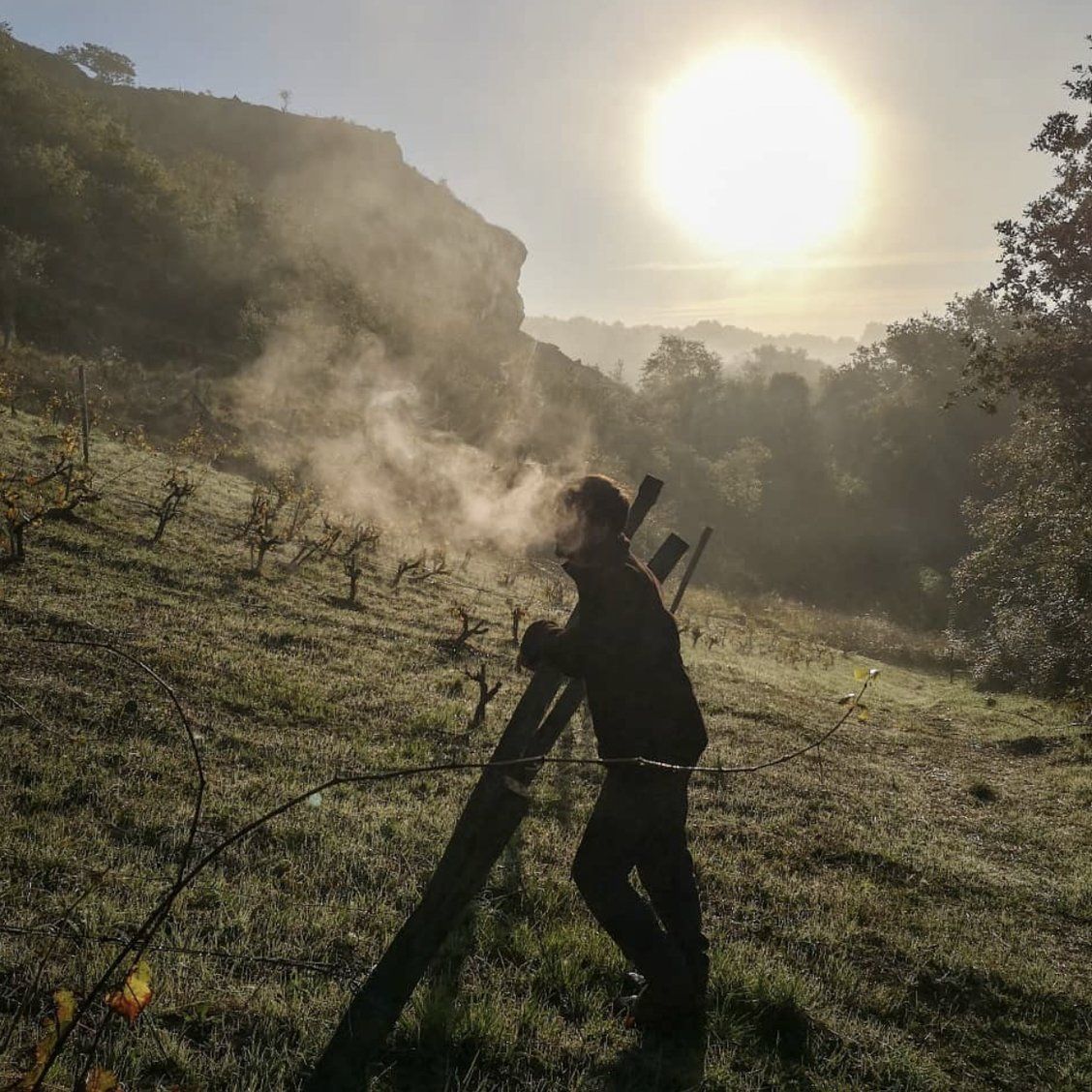 The Barba Boyz preparing and energizing the biodynamic preparations for the vineyards The Barba Boyz preparing and energizing the biodynamic preparations for the vineyards