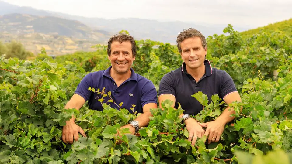 Two men smiling at Di Giovanna vineyard, surrounded by grapevines with mountains in the background.