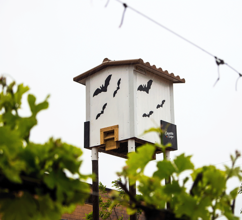 White bat house decorated with black bat silhouettes, on a tall post in Bodegas Enguera vineyard