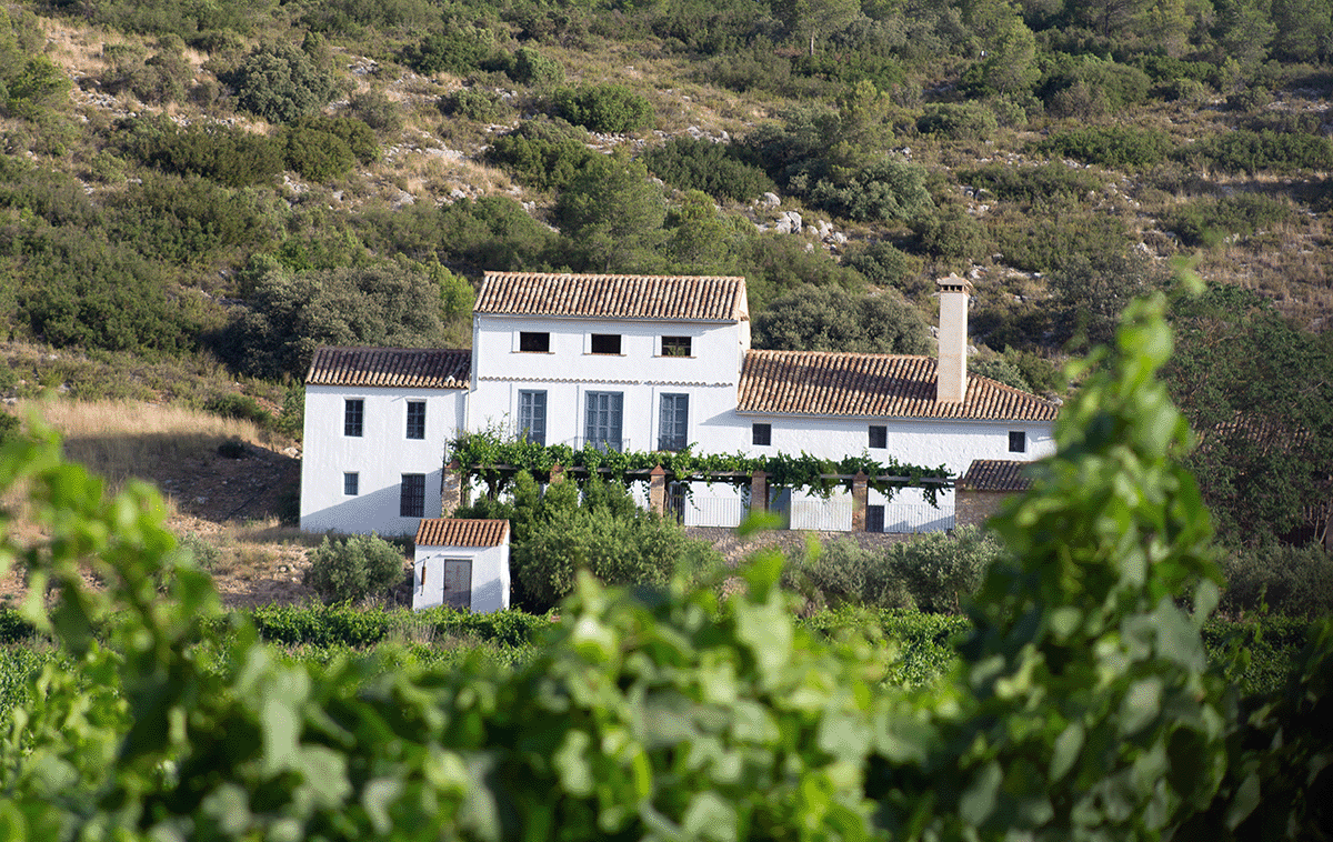 White building with tiled roof, set amongst green foliage and hillside at Bodegas Enguera