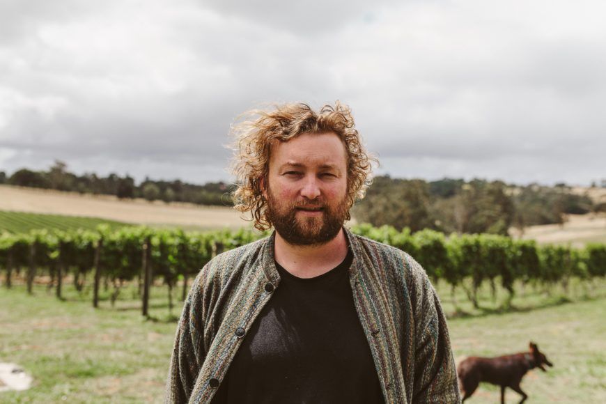 Patrick Sullivan in the Vineyard Patrick Sullivan in the Vineyard