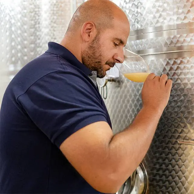 Di Giovanna winemaker in navy shirt, tasting wine near a stainless steel tank.