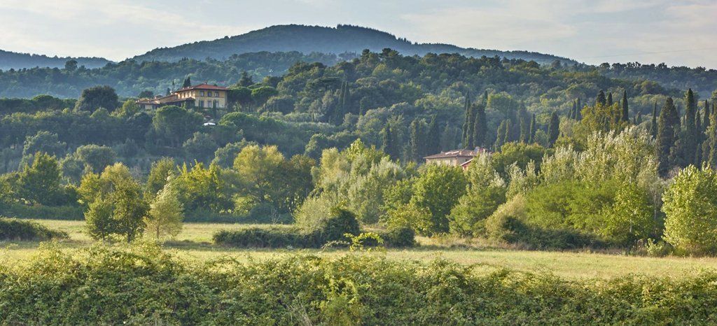 A Tuscan landscape with rolling hills, trees, and a building on top of a hill.
