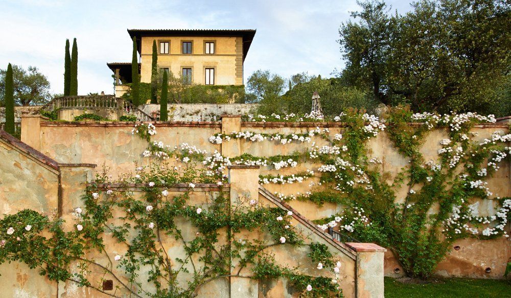 Cream-colored villa with climbing white roses on terraced walls. Olive trees and cypress in the garden.