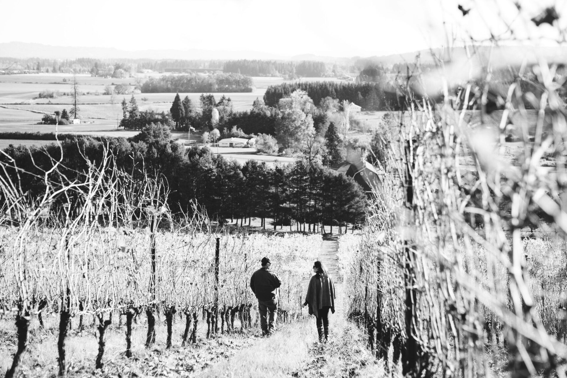 Two people walking on a path through Cooper Mountain vineyard.