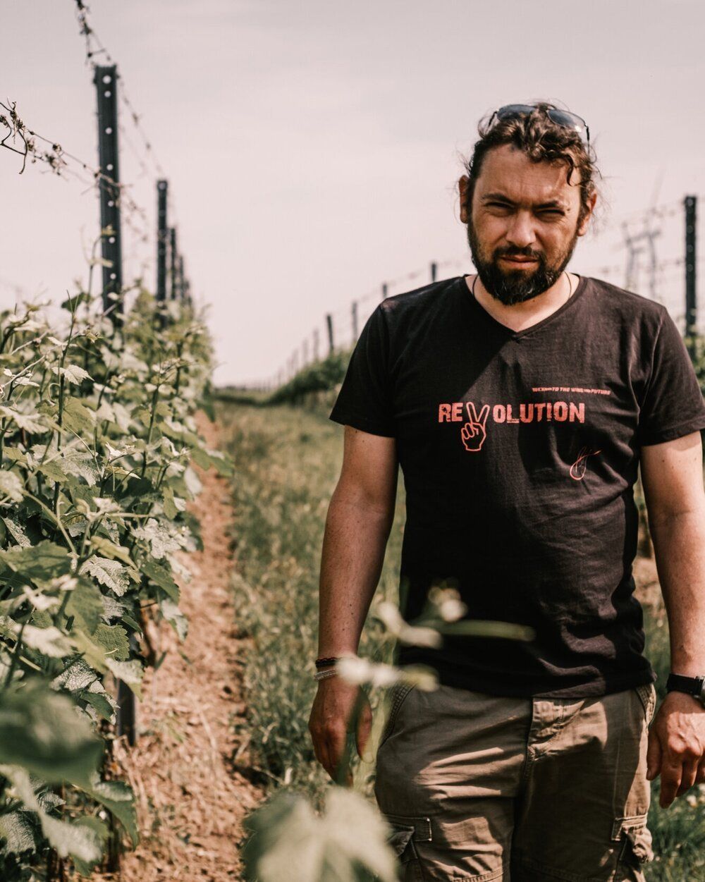 Johannes Zillinger in the vineyards