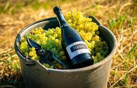 Perlage - Basket with grapes