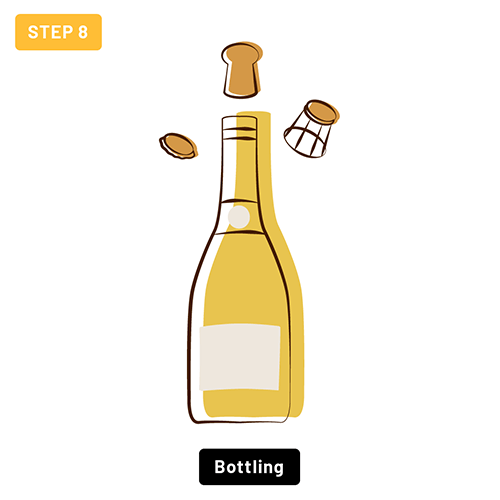 Step 8 - Bottling Step 8 - Bottling
