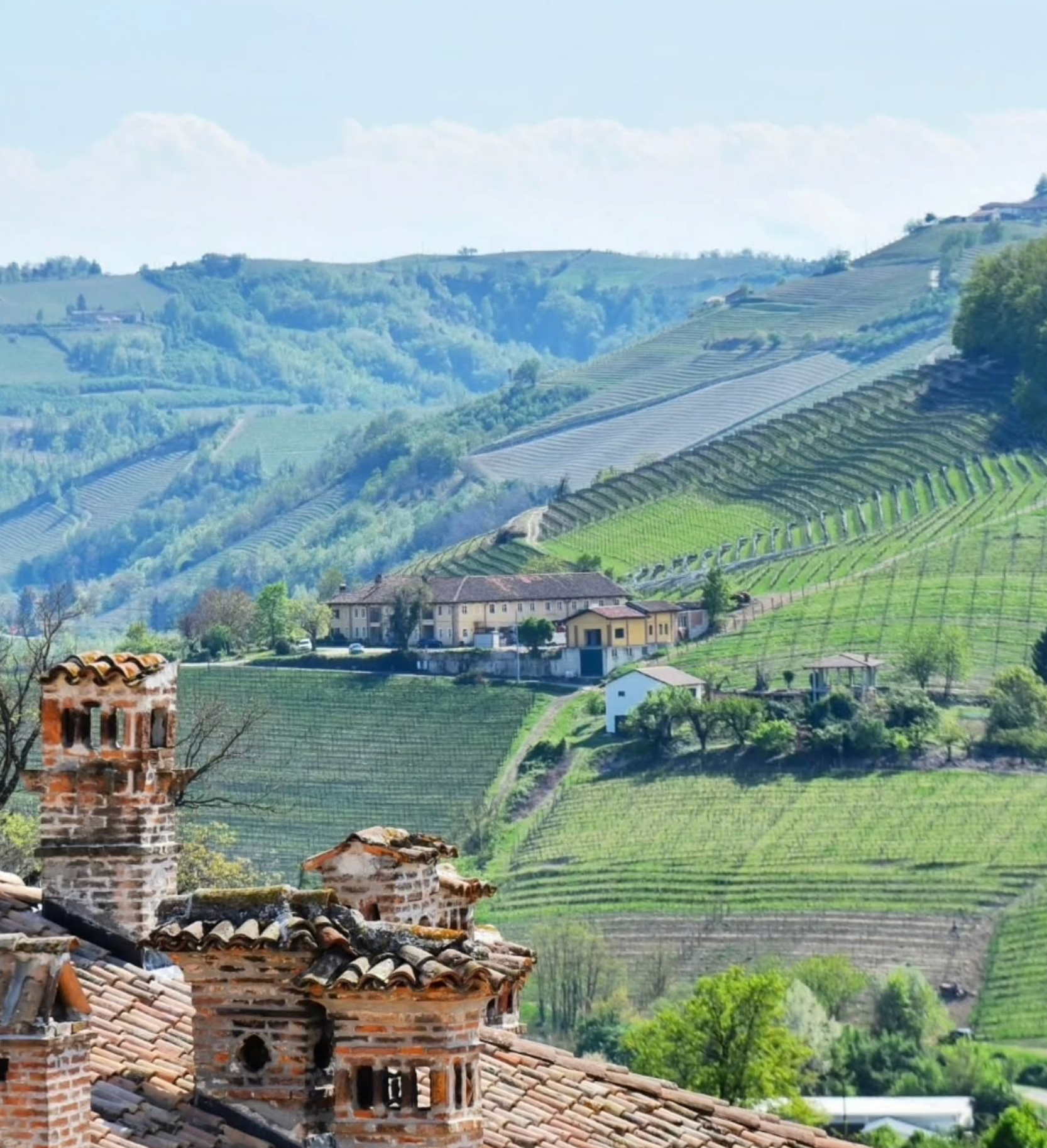 Rolling green hills with vineyards and a villa. Brown rooftops in the foreground, blue sky overhead.