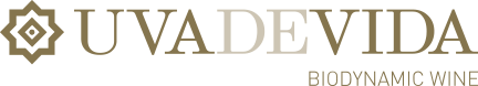 Uva de Vida - Logo Uva de Vida - Logo