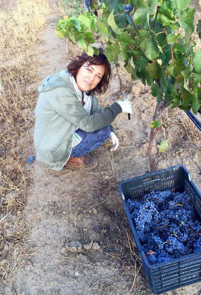 Winemaker of Uva de Vida working in the vineyard with a backpack sprayer among the vines.