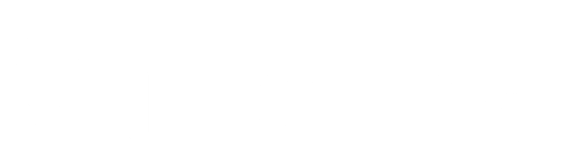 White Vinerra Logo.