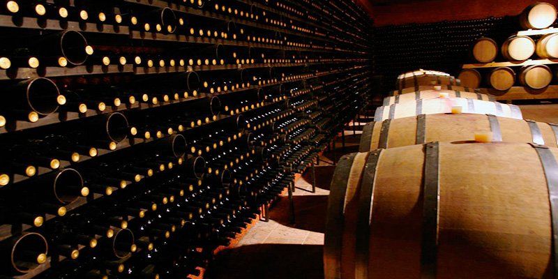 bottles and barrels in a wine cellar bottles and barrels in a wine cellar