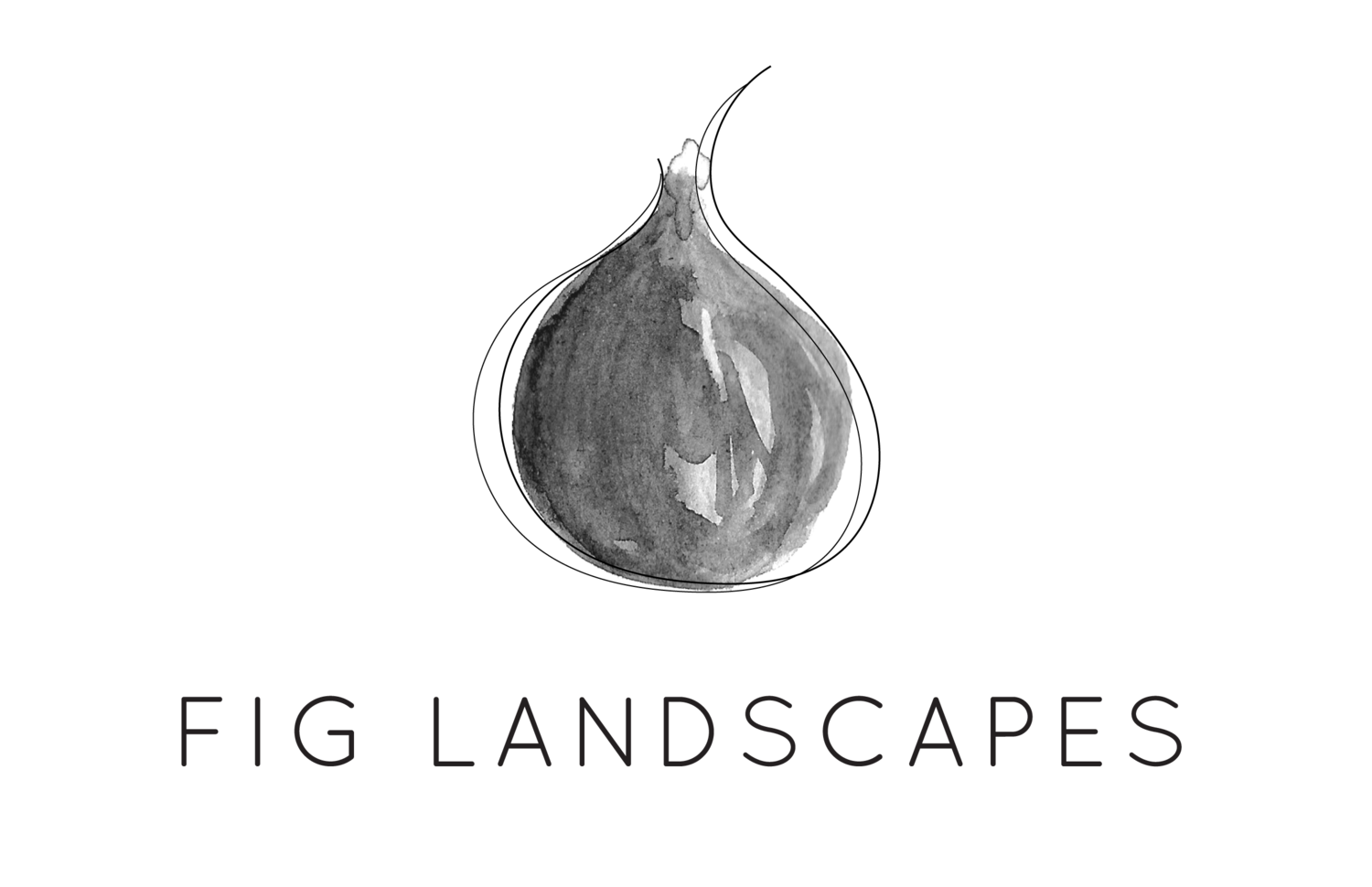 Fig Landscapes