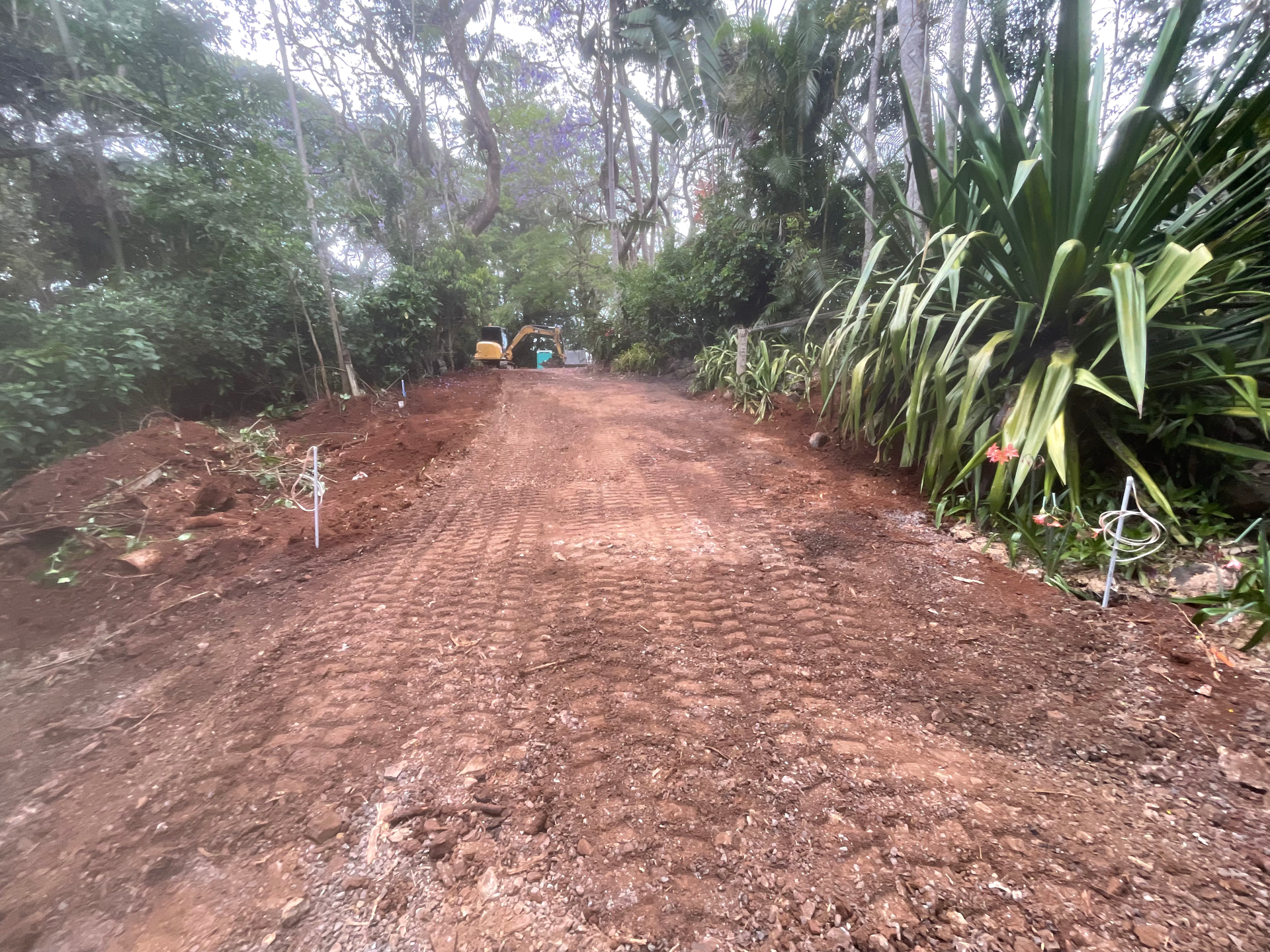 A Dirt Road Going Through a Forest — East Point Earthmoving in Byron Bay, NSW