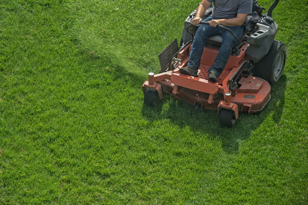 A man is riding a lawn mower on a lush green lawn.