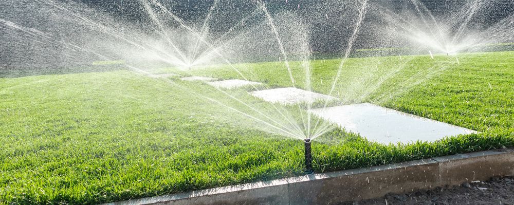 A sprinkler is spraying water on a lush green lawn.