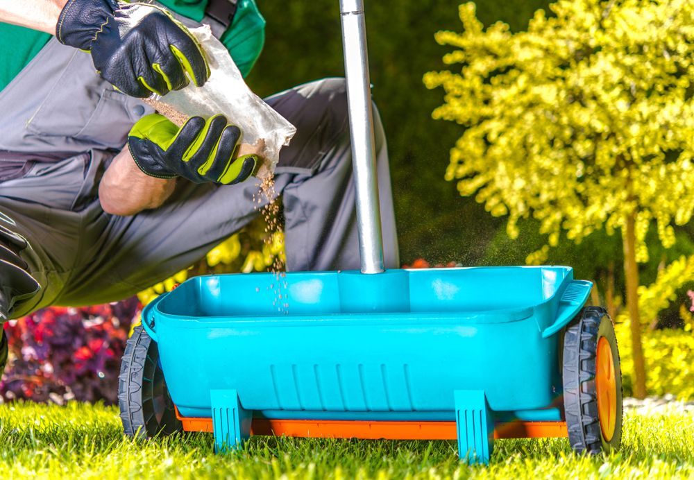 Person filling a teal lawn spreader with contents from a white bag, outdoors on a sunny day.