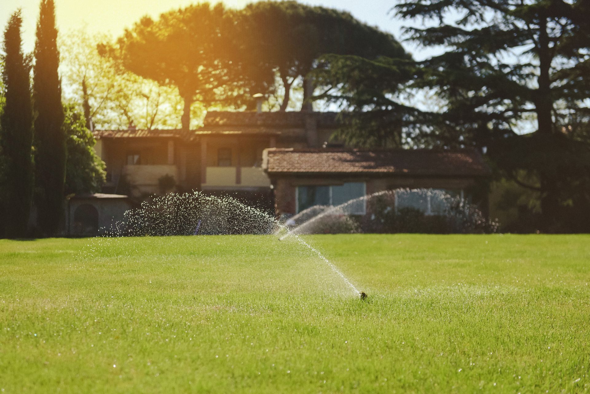 A sprinkler is spraying water on a lush green lawn in front of a house.