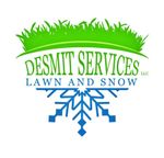 A logo for desmit services lawn and snow