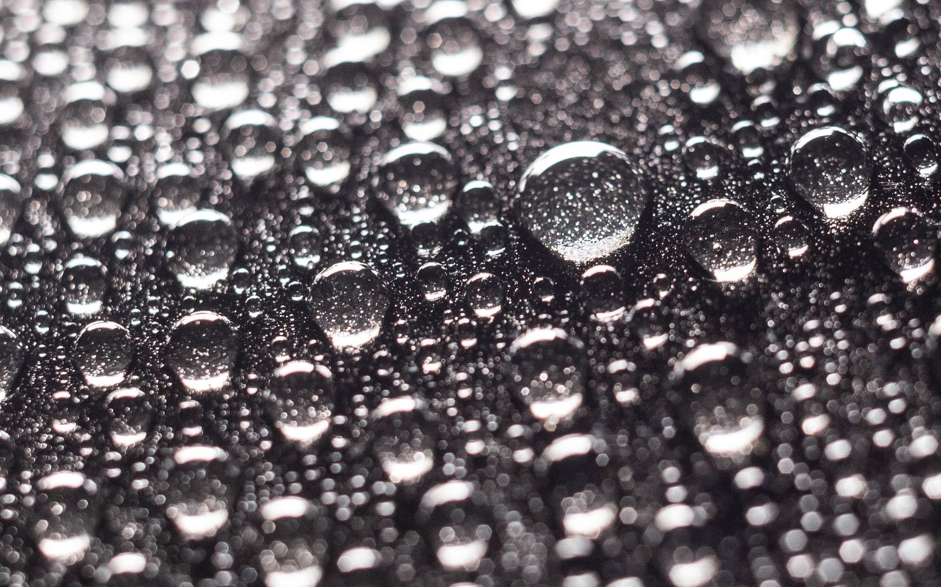 Close-up of water droplets glistening on a dark textured surface