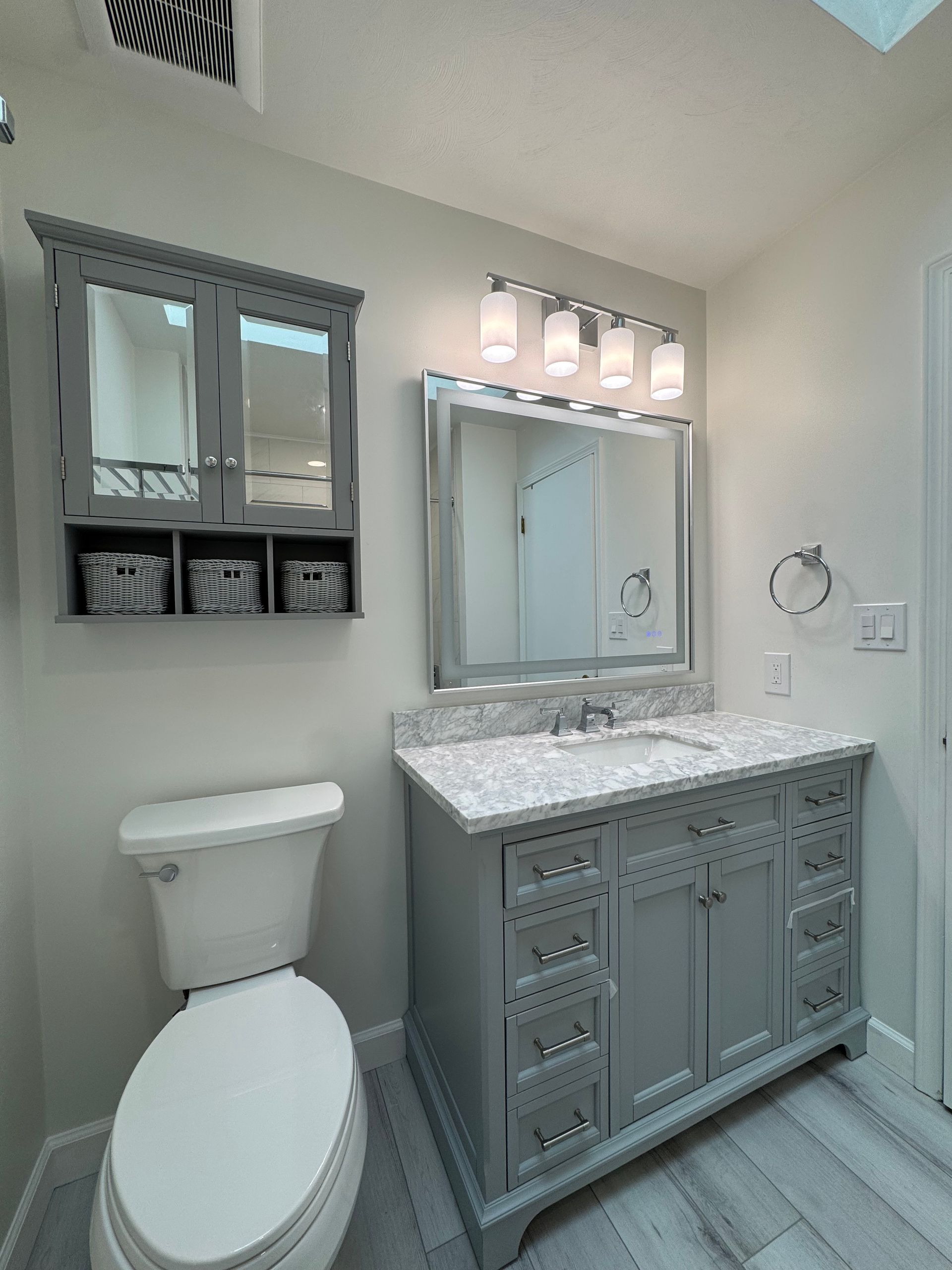 Modern Hallway Bathroom Remodel