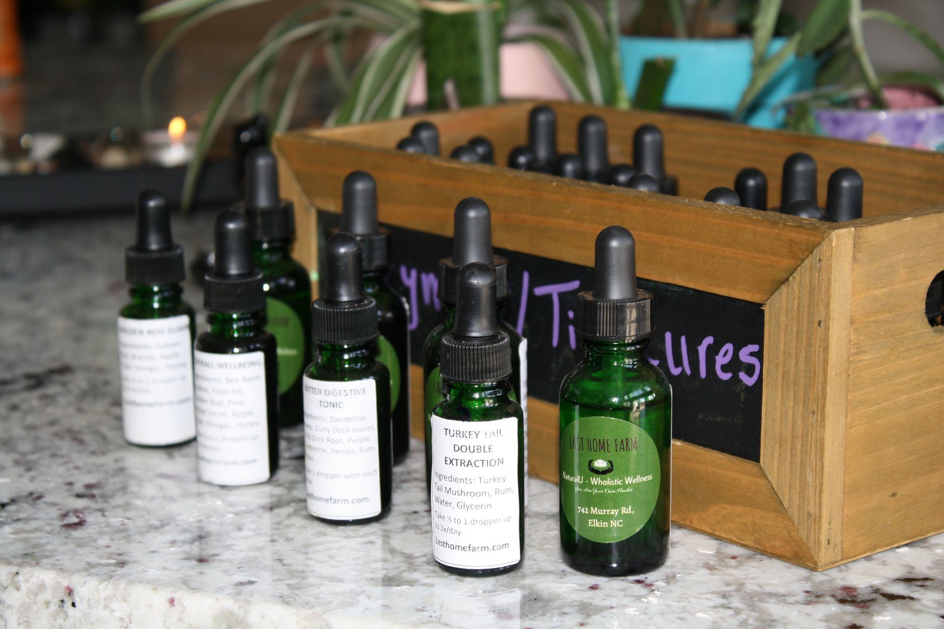 Digestive Bitter - Herbal Tinctures