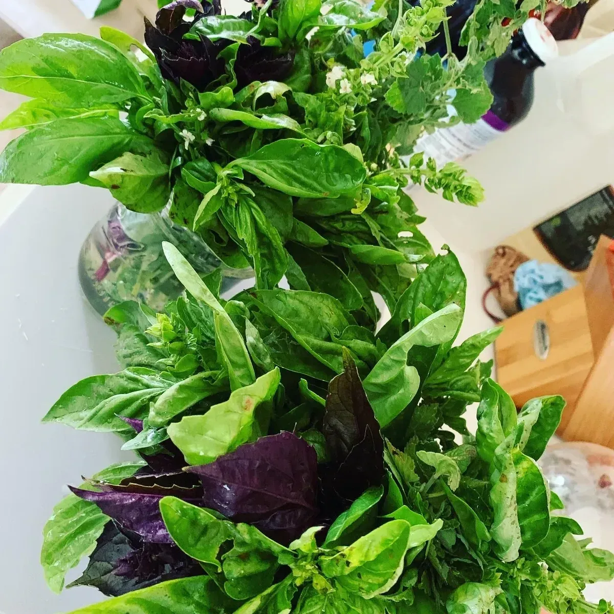 Assorted green and purple basil leaves piled in a glass vase on a kitchen counter