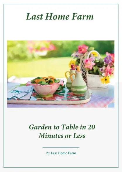 Last Home Farm book cover with flowers, tableware, and garden-to-table meal, titled “Garden to Table in 20 Minutes or Less”