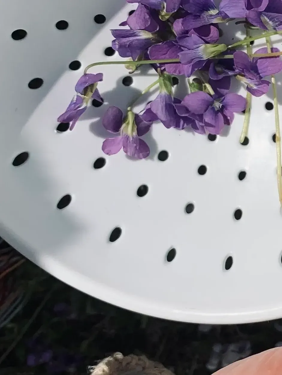 Purple flowers on a white perforated tray with a dark background