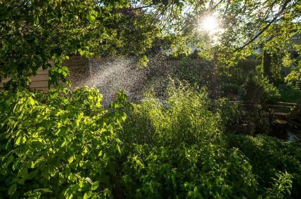 Sunlight bursts through a lush green garden with a sprinkler in action, creating a sparkling effect.