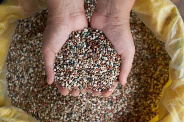 Hands holding handful of colorful fertilizer granules from a yellow bag.