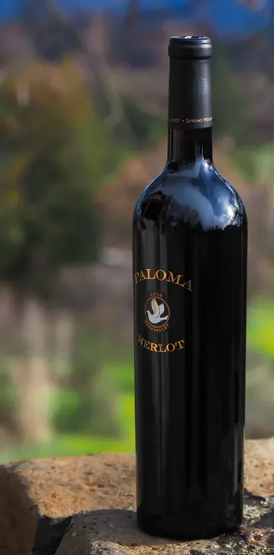 A bottle of wine is sitting on a stone wall.